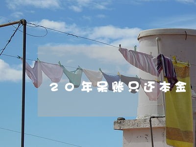 20年呆账只还本金 20年呆账只还本金