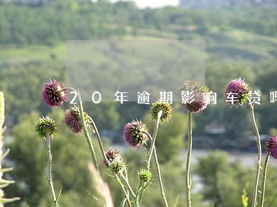 20年逾期影响车贷吗 20年逾期影响车贷吗