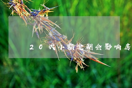 20次小额逾期会影响房贷吗 20次小额逾期会影响房贷吗