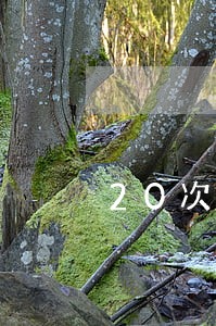 20次没有超过90天的逾期 20次没有超过90天的逾期