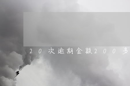 20次逾期金额200多元 20次逾期金额200多元