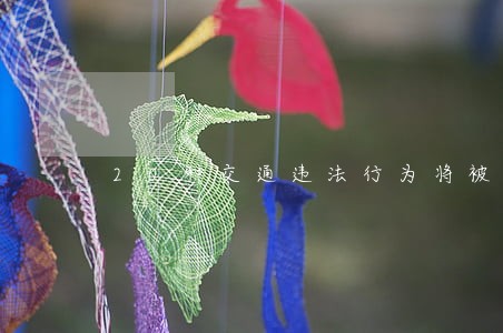 20种交通违法行为将被顶格处罚 20种交通违法行为将被顶格处罚