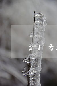 21号还款不算逾期吧 21号还款不算逾期吧