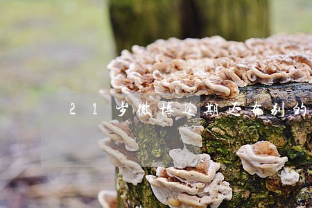 21岁微博逾期还有别的能贷的吗 21岁微博逾期还有别的能贷的吗