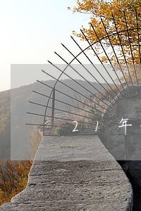 21年信用卡逾期多少