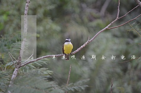 21年花呗逾期会打电话给家人吗 21年花呗逾期会打电话给家人吗