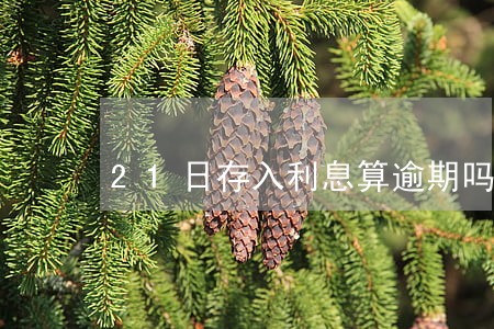 21日存入利息算逾期吗 21日存入利息算逾期吗