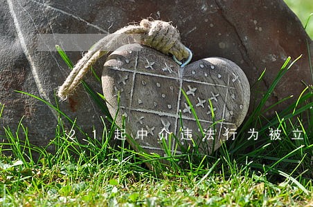 21起中介违法行为被立案调查 21起中介违法行为被立案调查
