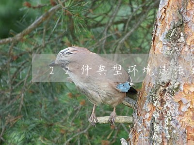 22件典型环境违法案件 22件典型环境违法案件