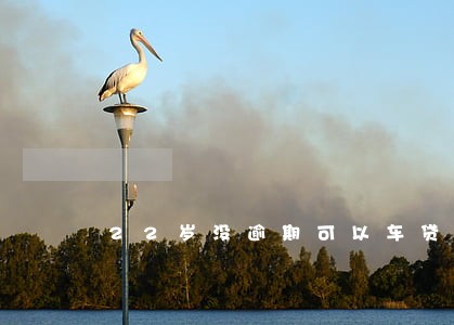 22岁没逾期可以车贷吗