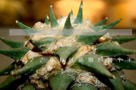 22年有过逾期的哪个平台能借 22年有过逾期的哪个平台能借
