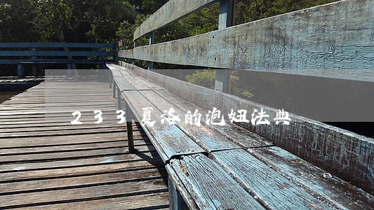 233夏洛的泡妞法典 233夏洛的泡妞法典