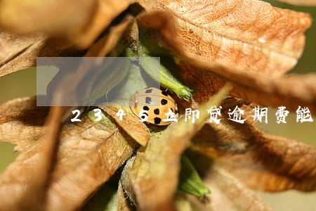 2345立即贷逾期费能减免吗 2345立即贷逾期费能减免吗