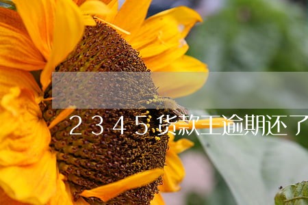 2345货款王逾期还了 2345货款王逾期还了