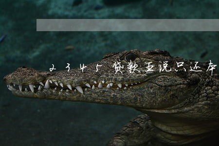 2345贷款王说只还本金 2345贷款王说只还本金