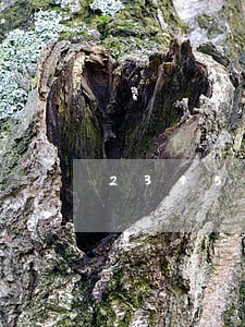 2345贷款王逾期1天 2345贷款王逾期1天