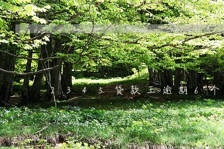2345贷款王逾期6个月 2345贷款王逾期6个月