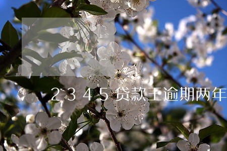 2345贷款王逾期两年了 2345贷款王逾期两年了