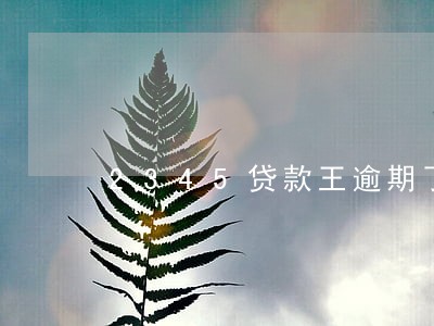 2345贷款王逾期了6天 2345贷款王逾期了6天