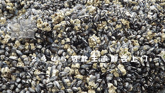 2345贷款王逾期会上门 2345贷款王逾期会上门