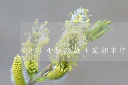 2345贷款王逾期半年