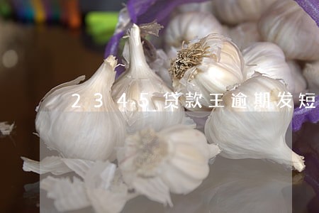 2345贷款王逾期发短信 2345贷款王逾期发短信