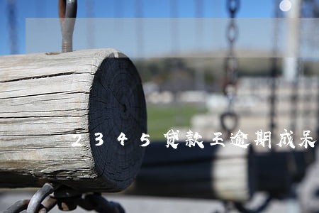 2345贷款王逾期成呆账怎么 2345贷款王逾期成呆账怎么