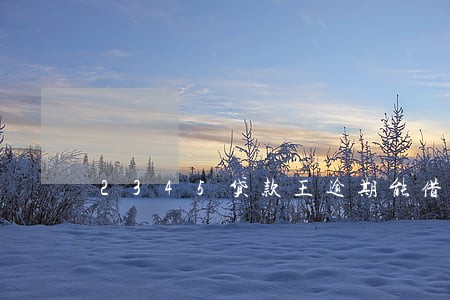2345贷款王逾期能借吗 2345贷款王逾期能借吗