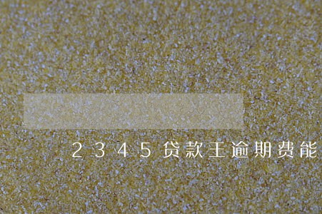2345贷款王逾期费能减 2345贷款王逾期费能减