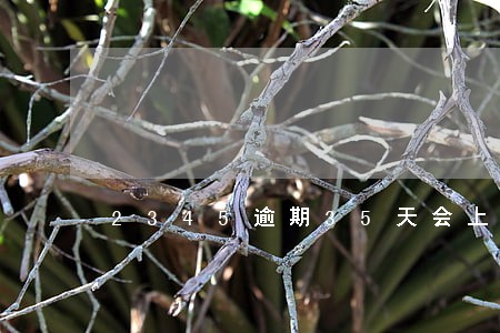 2345逾期35天会上门 2345逾期35天会上门