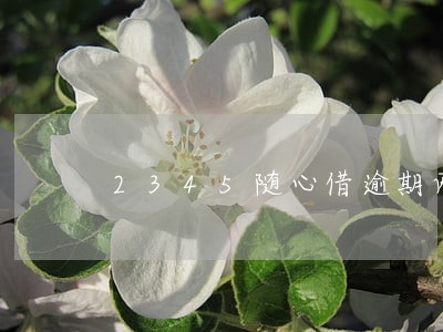 2345随心借逾期两天 2345随心借逾期两天