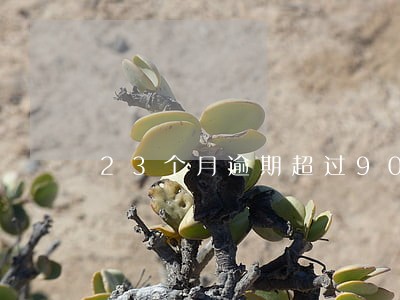 23个月逾期超过90天 23个月逾期超过90天