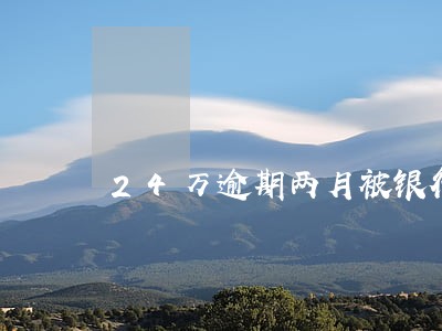 24万逾期两月被银行催收
