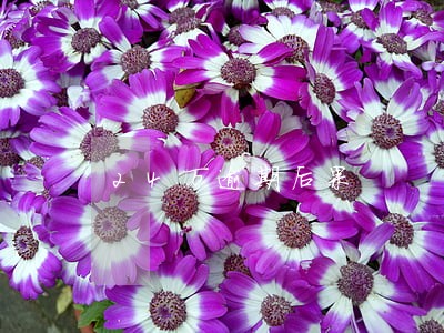24万逾期后果 24万逾期后果