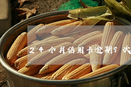 24个月信用卡逾期9次 24个月信用卡逾期9次