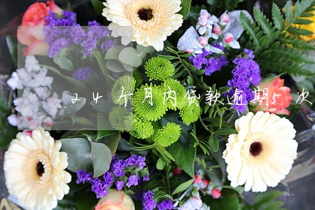 24个月内贷款逾期5次 24个月内贷款逾期5次