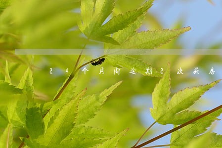 24个月内逾期2次买房 24个月内逾期2次买房
