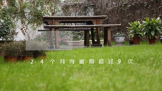 24个月内逾期超过9次 24个月内逾期超过9次