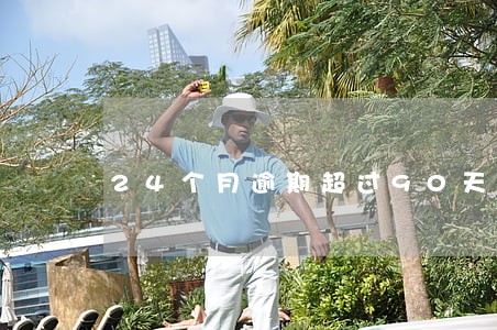 24个月逾期超过90天 24个月逾期超过90天