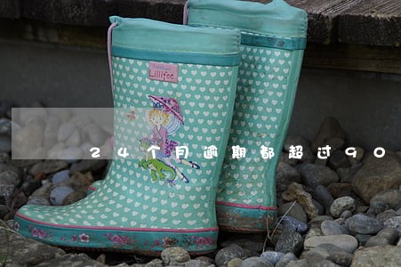 24个月逾期都超过90天 24个月逾期都超过90天