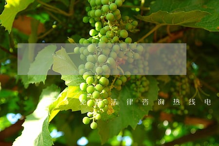 24免费法律咨询热线电话 24免费法律咨询热线电话