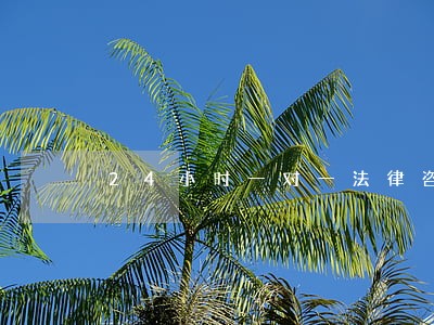 24小时一对一法律咨询 24小时一对一法律咨询