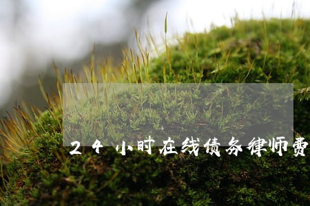 24小时在线债务律师费用 24小时在线债务律师费用
