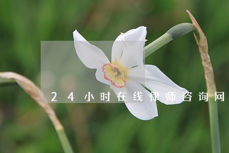24小时在线律师咨询网站 24小时在线律师咨询网站