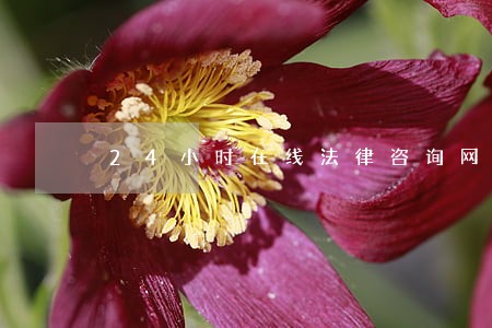 24小时在线法律咨询网 24小时在线法律咨询网