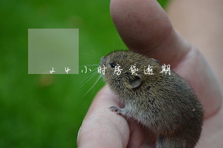 24小时房贷逾期 24小时房贷逾期