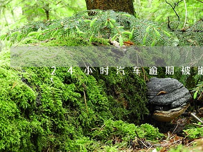 24小时汽车逾期被拖走 24小时汽车逾期被拖走
