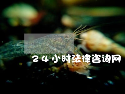 24小时法律咨询网 24小时法律咨询网