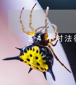 24小时法律顾问在线 24小时法律顾问在线