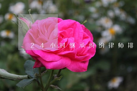 24小时继承纠纷律师排名 24小时继承纠纷律师排名